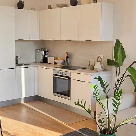 Bright Artist's On Hills Apartment *